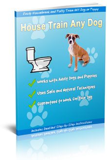 House Train Any Dog Review
