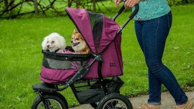best pet strollers double no zip prams for carrier folding 3 wheels cat dog travel-strolling carriage cart reviews