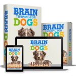 brain training for dogs review